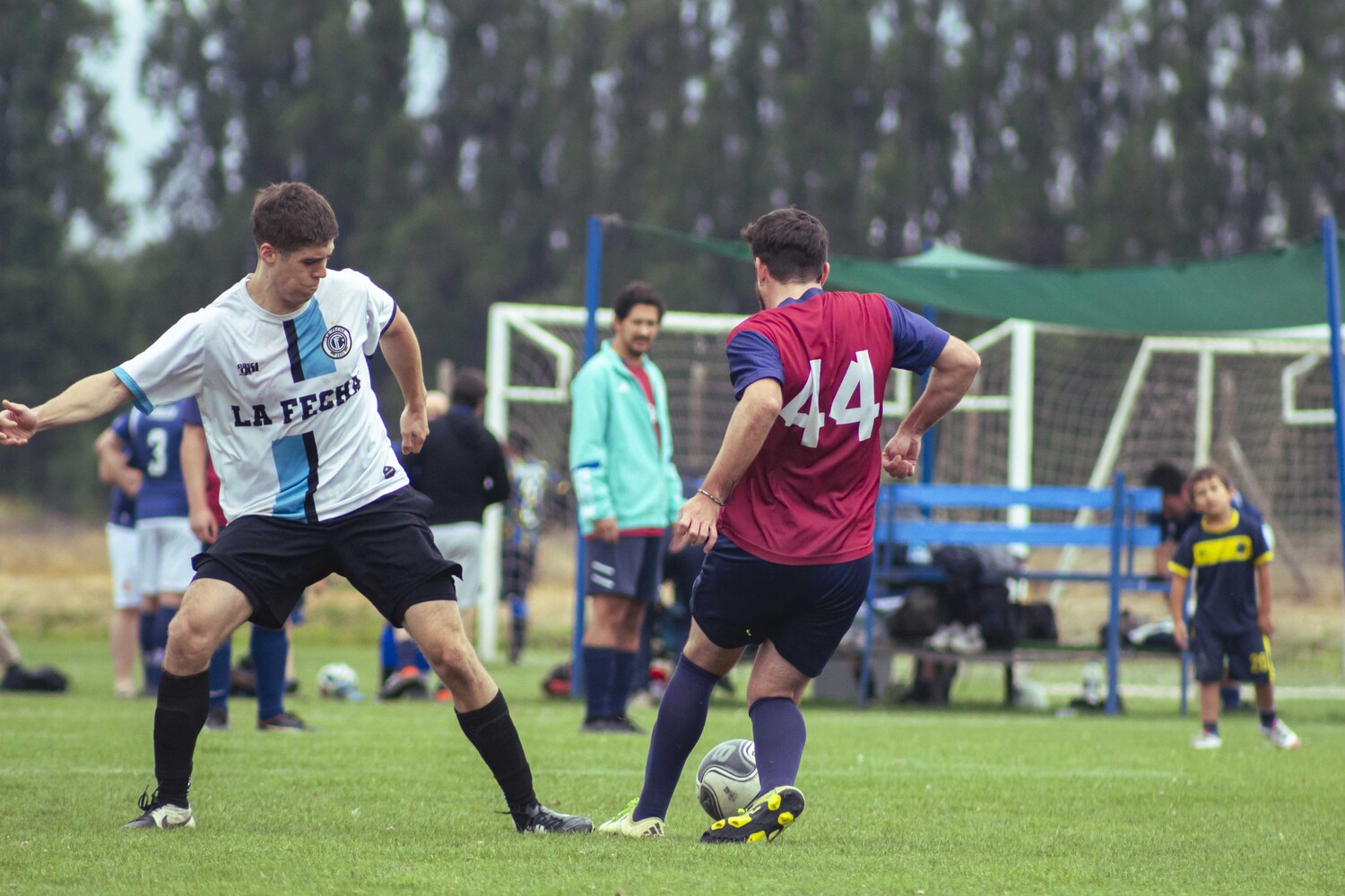 _MG_3846.jpg