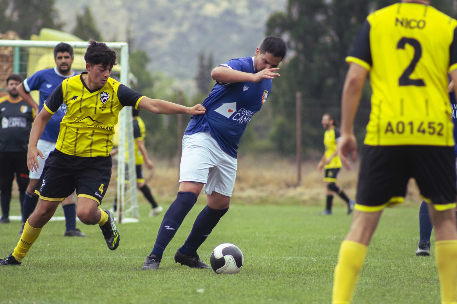 _MG_3953.jpg
