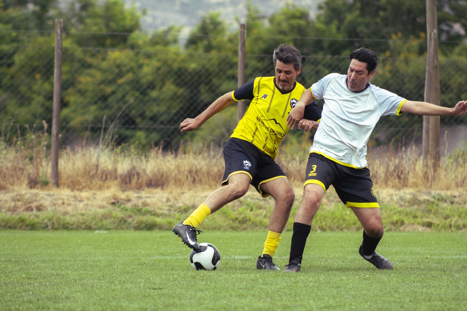 _MG_4034.jpg