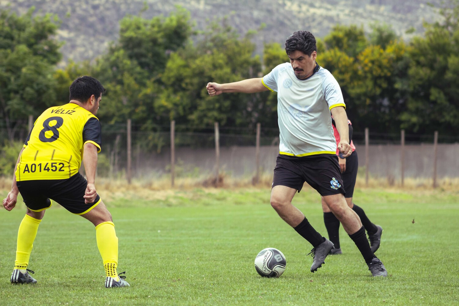 _MG_4037.jpg