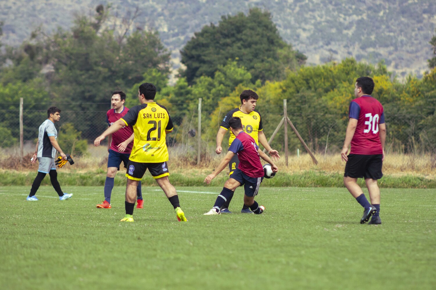 _MG_4086.jpg