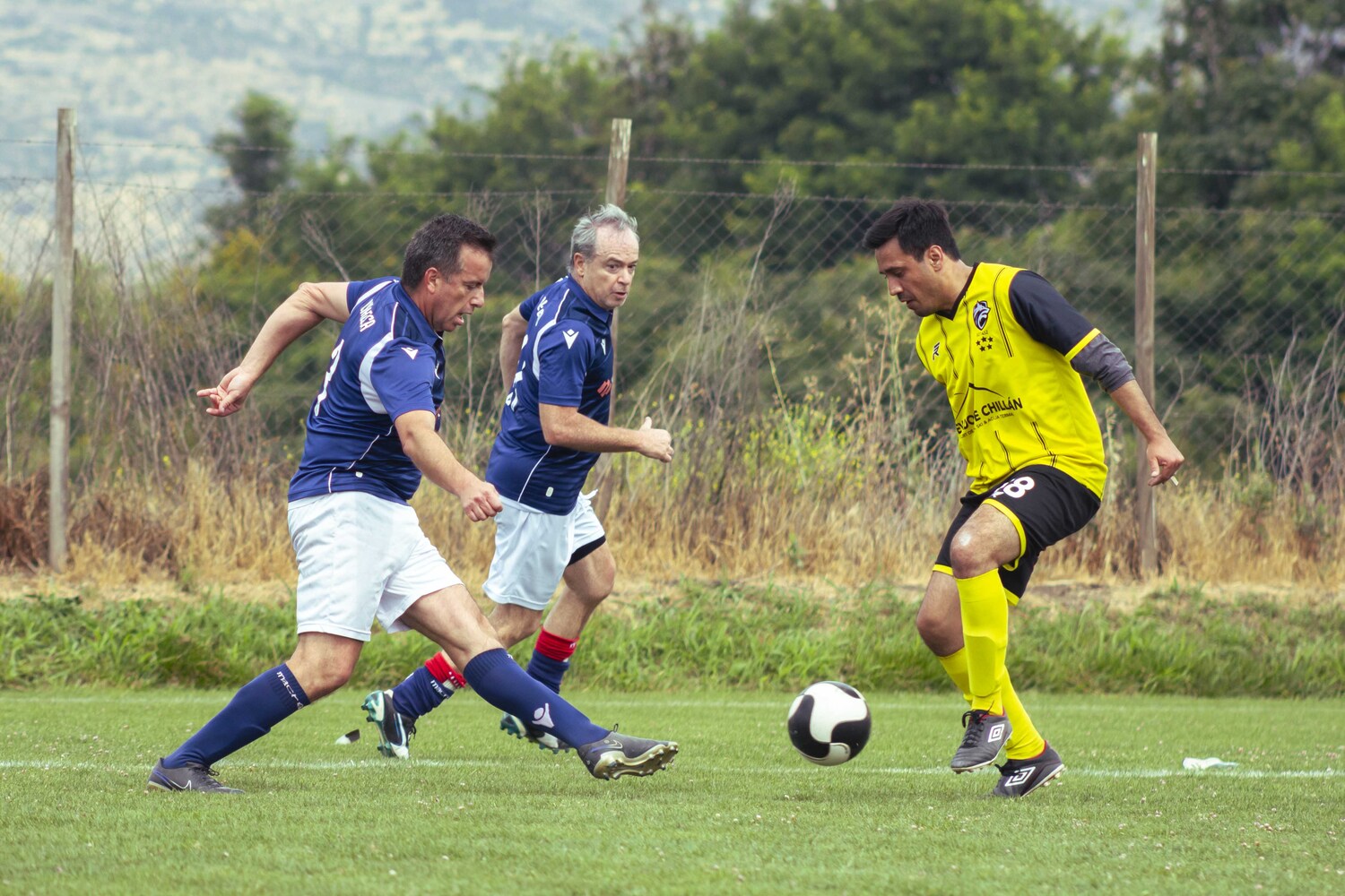 _MG_4189.jpg