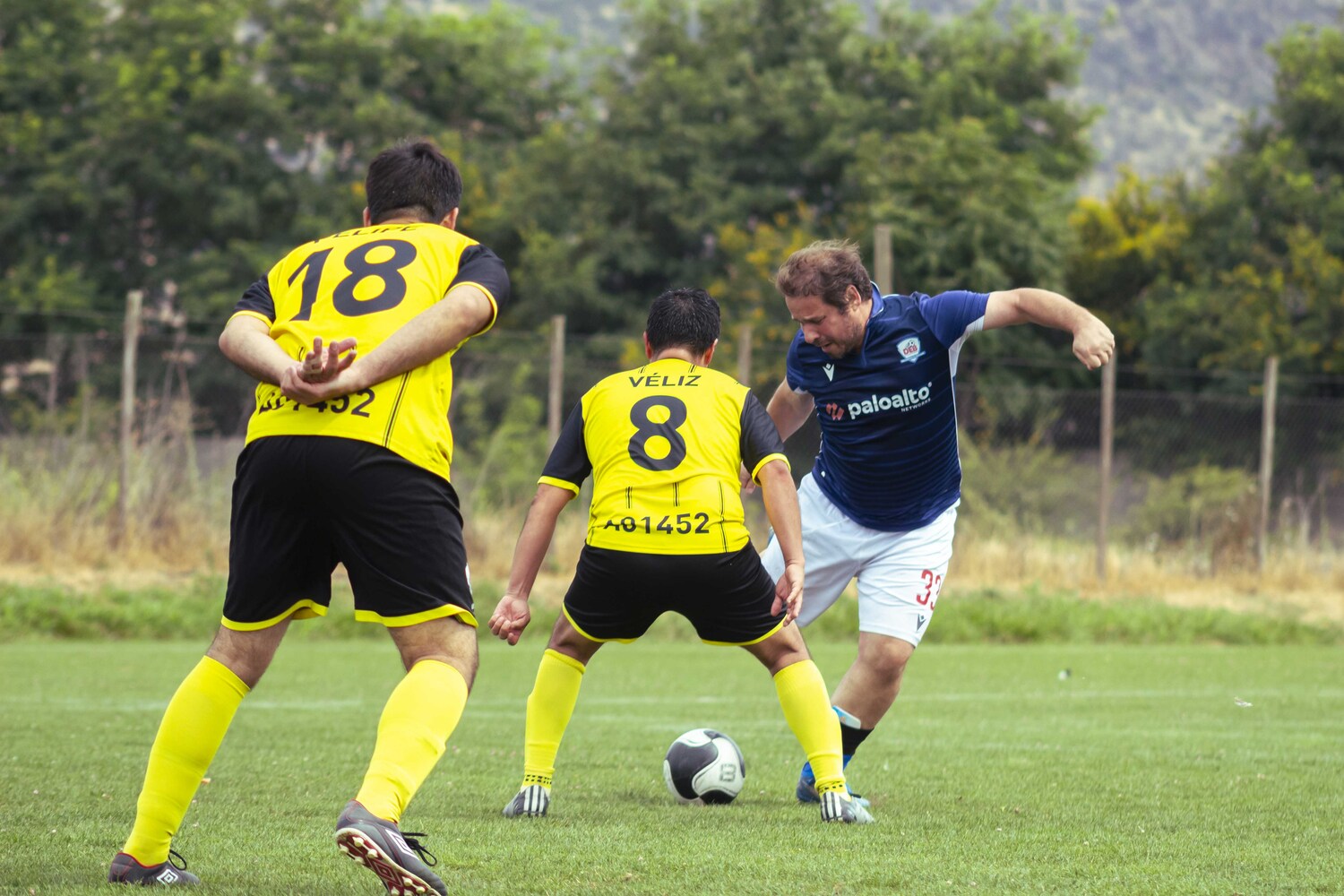 _MG_4234.jpg