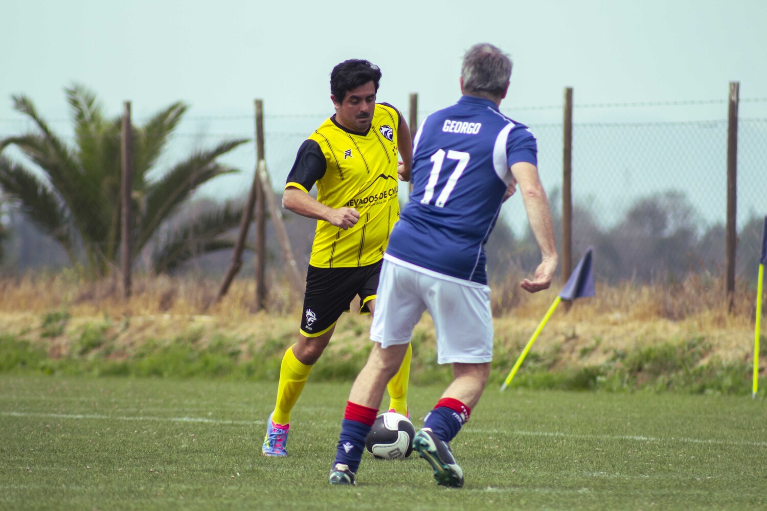_MG_4239.jpg