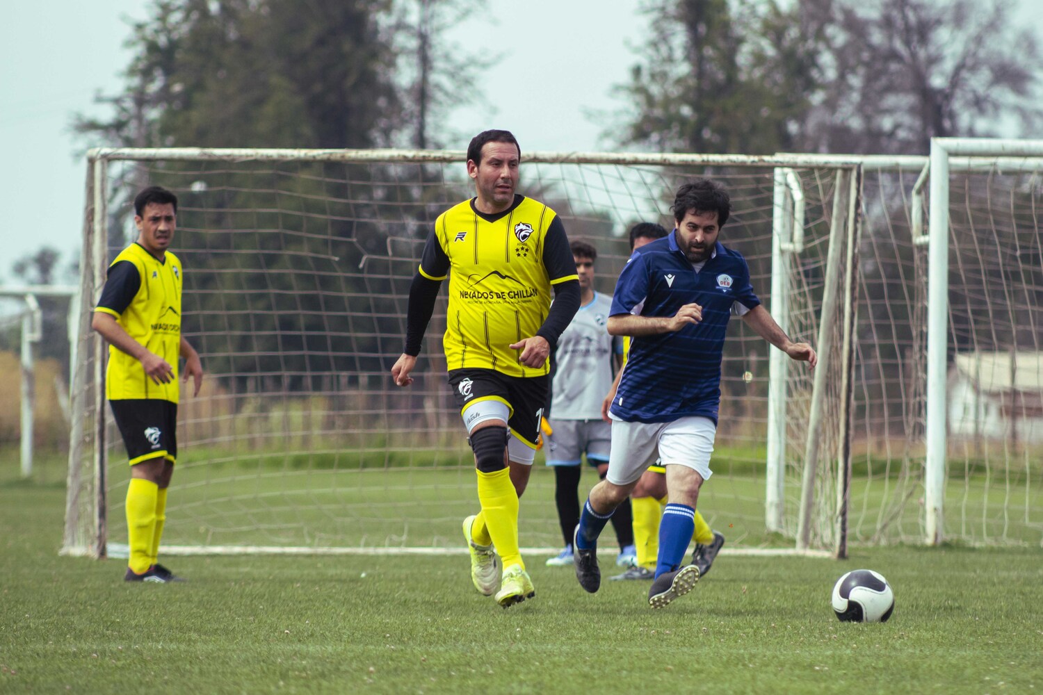 _MG_4242.jpg