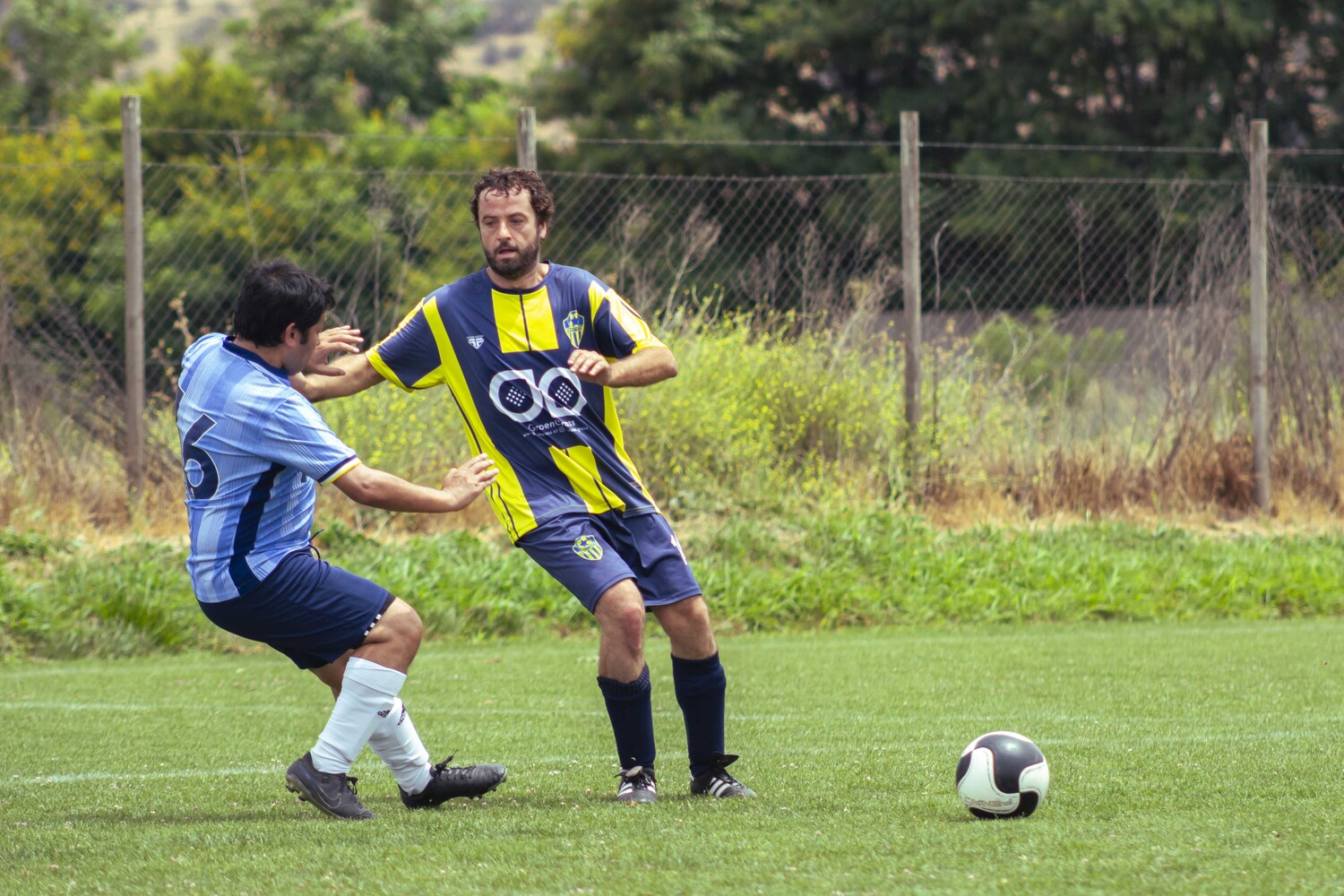 _MG_4373.jpg