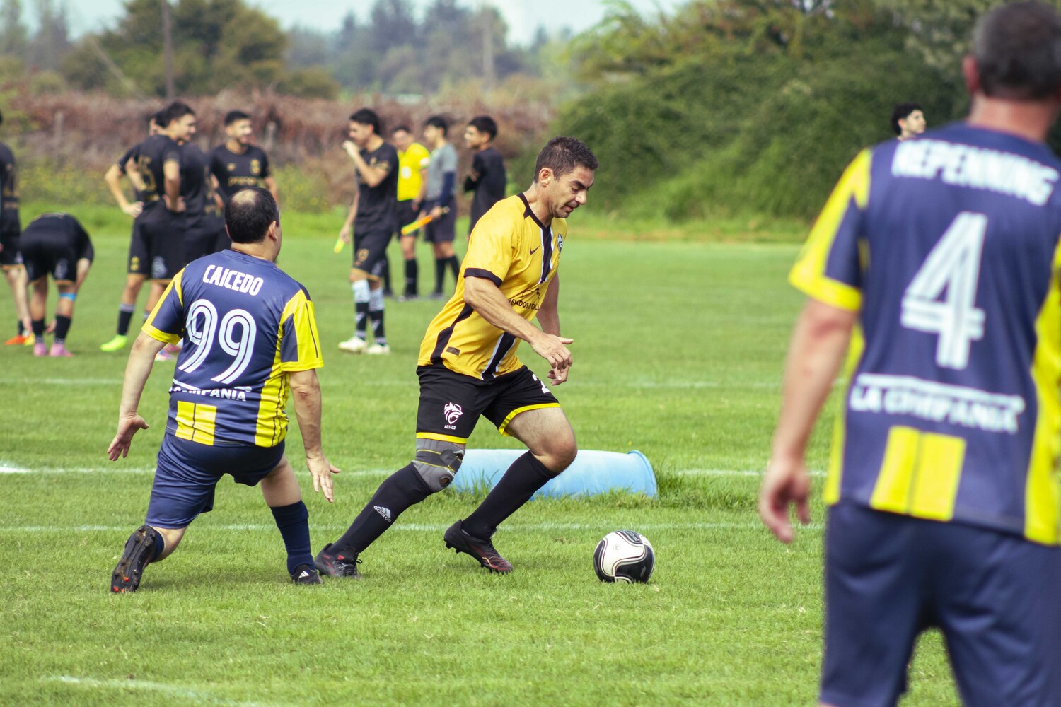 _MG_5264.jpg