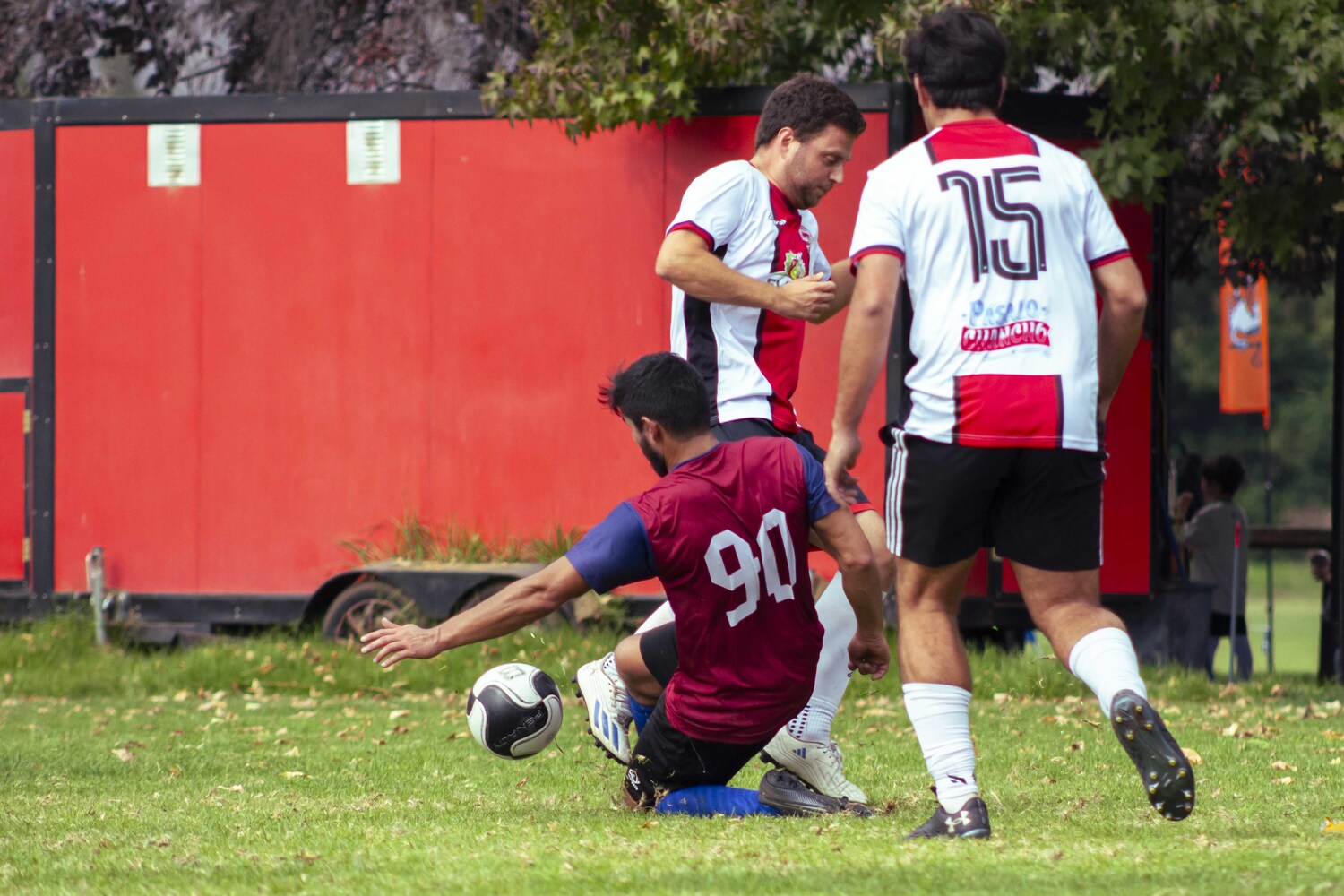 _MG_5313.jpg