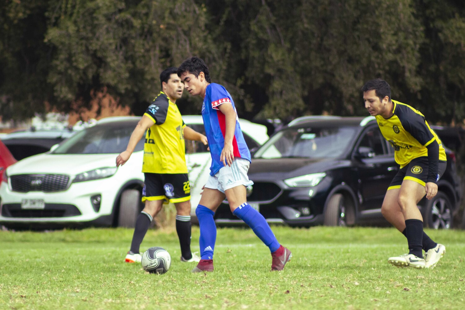 _MG_5336.jpg