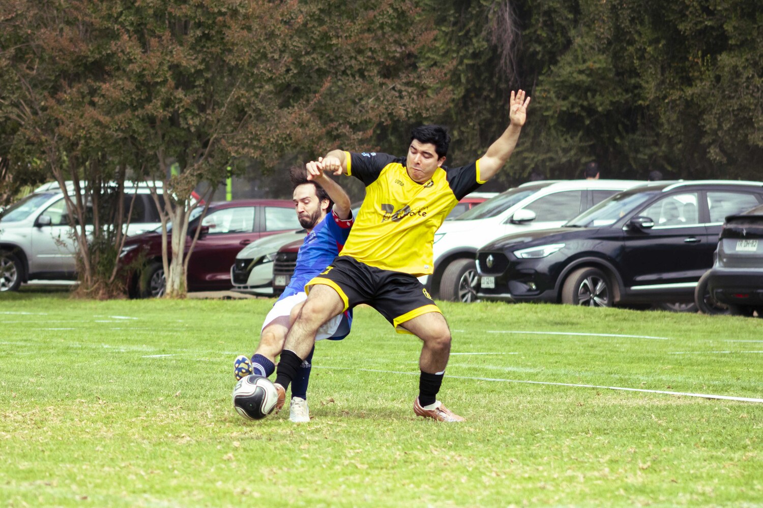 _MG_5354.jpg