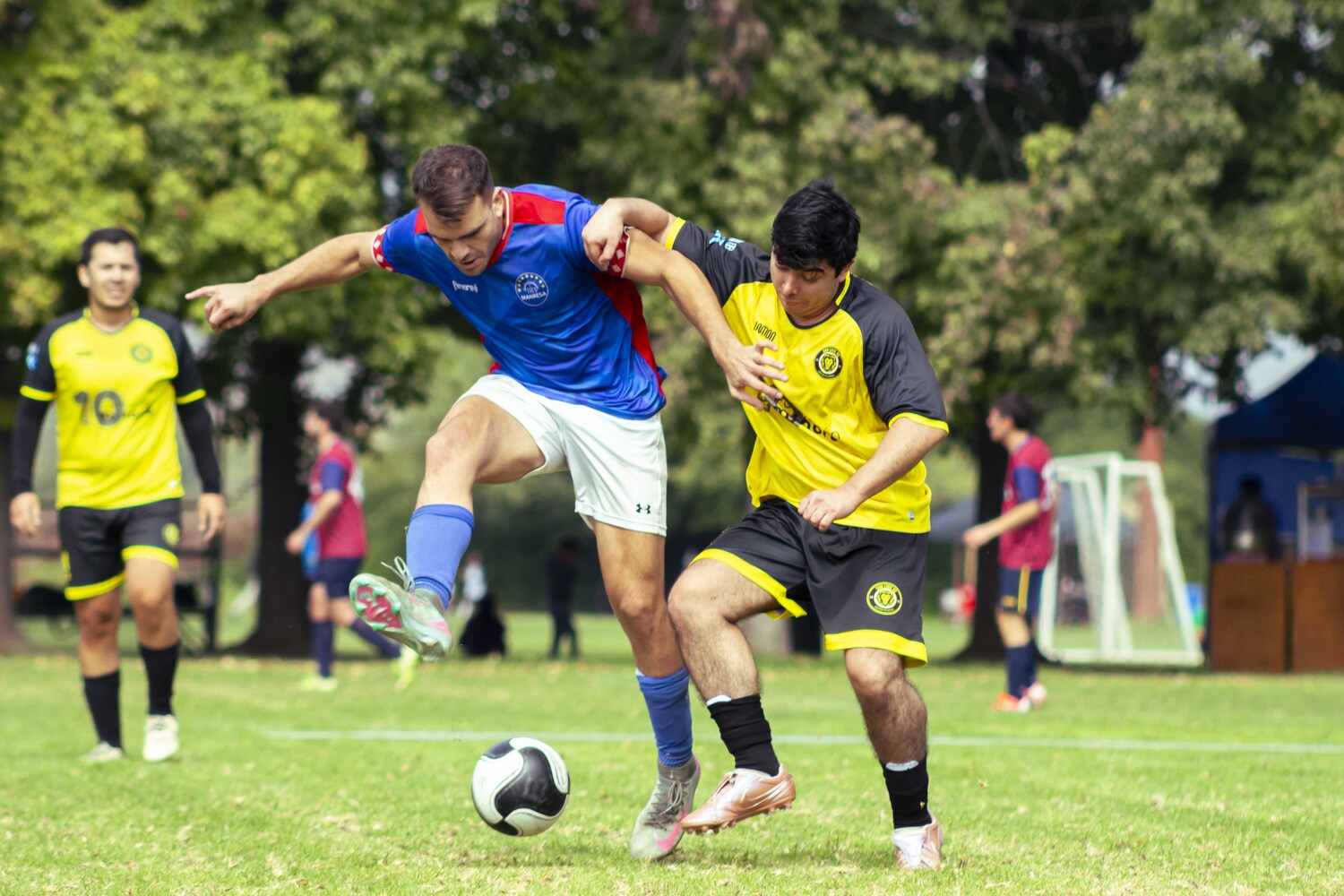 _MG_5365.jpg