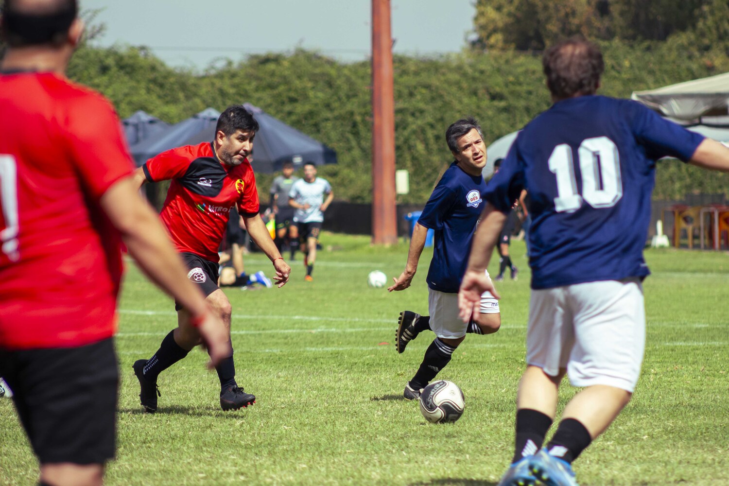 _MG_5390.jpg