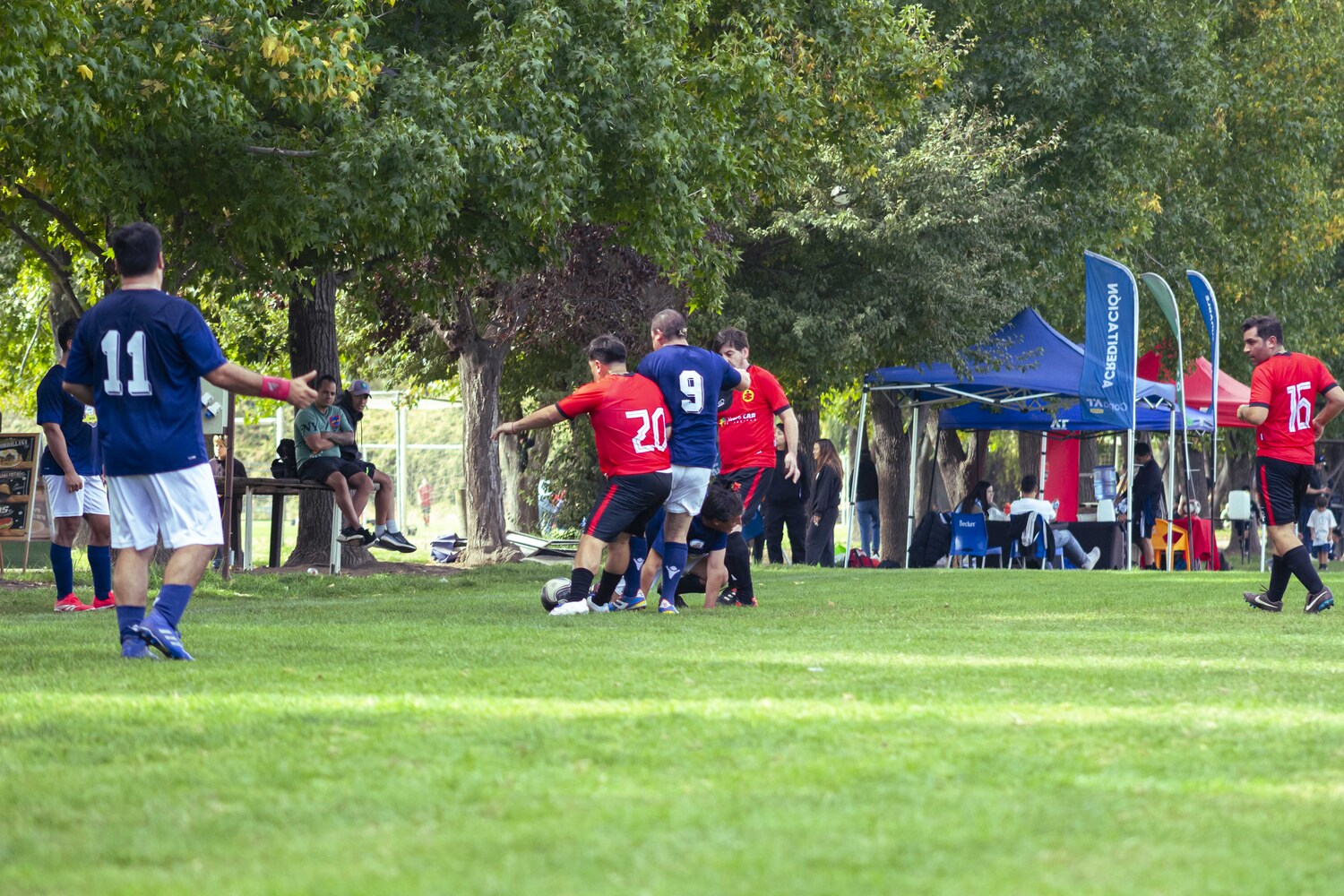 _MG_5402.jpg