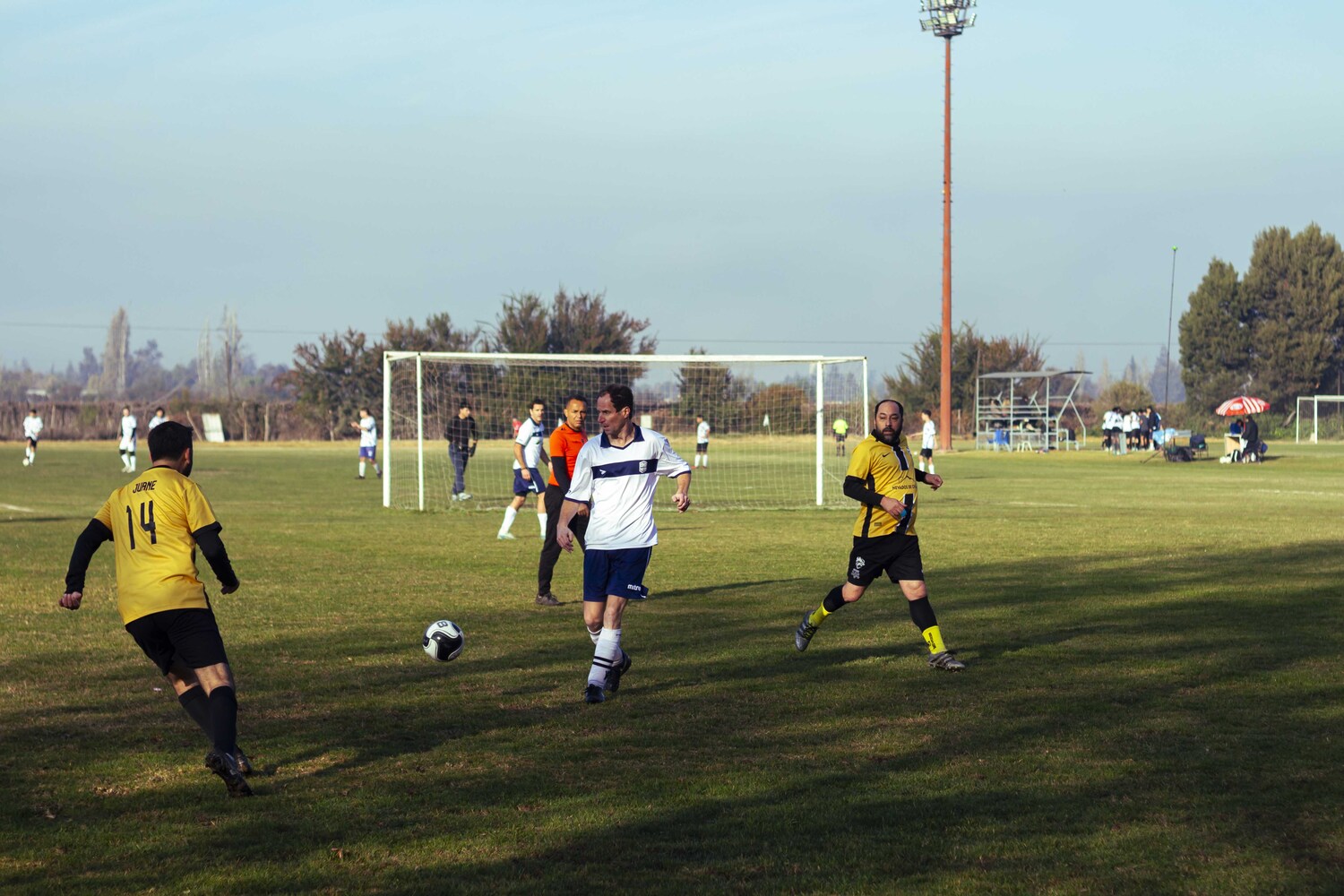 _MG_6956.jpg