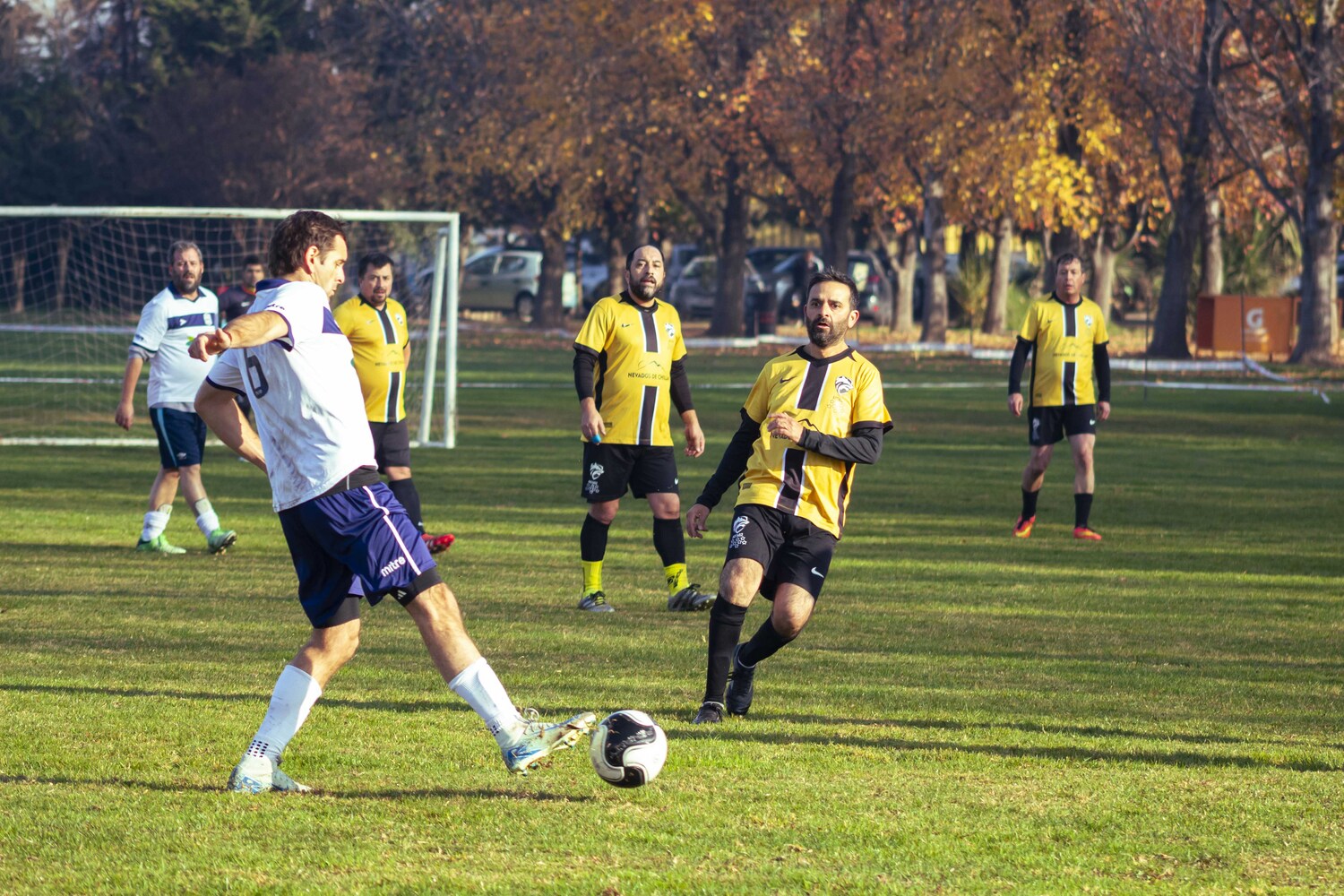 _MG_6969.jpg