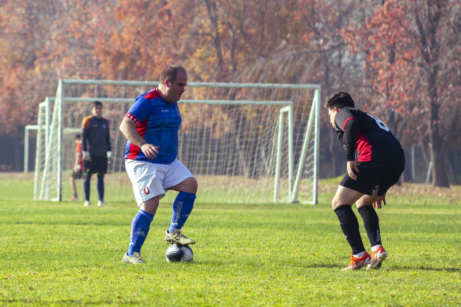 _MG_7043.jpg