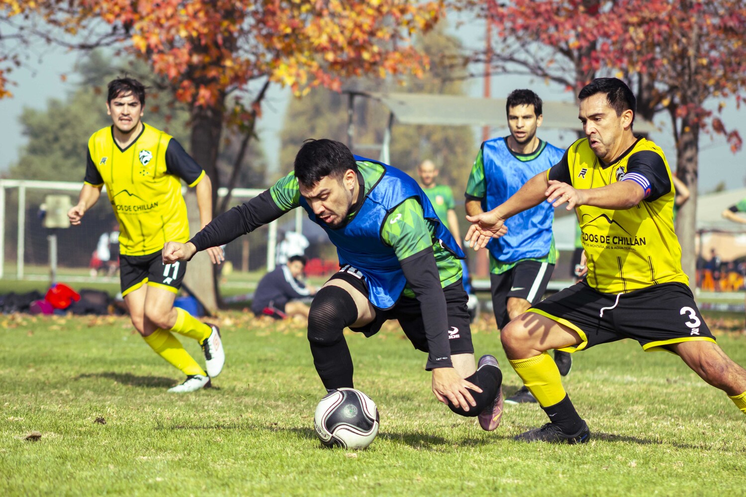 _MG_7143.jpg