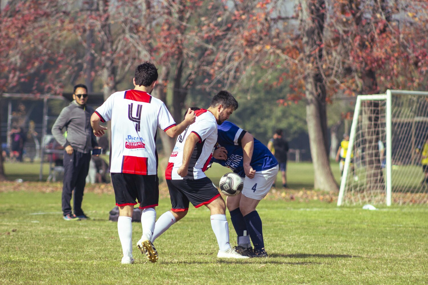 _MG_7189.jpg