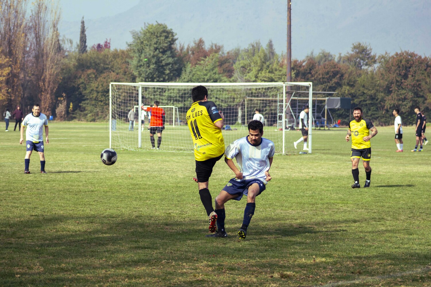 _MG_7234.jpg