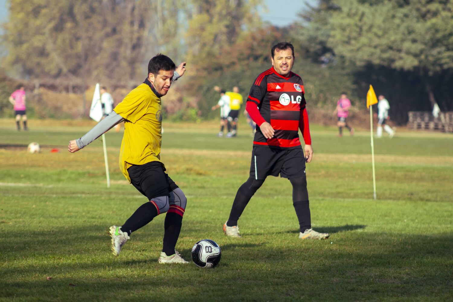 _MG_7704.jpg