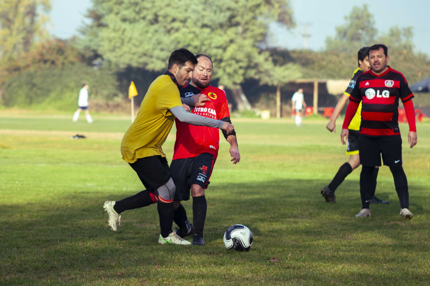 _MG_7708.jpg