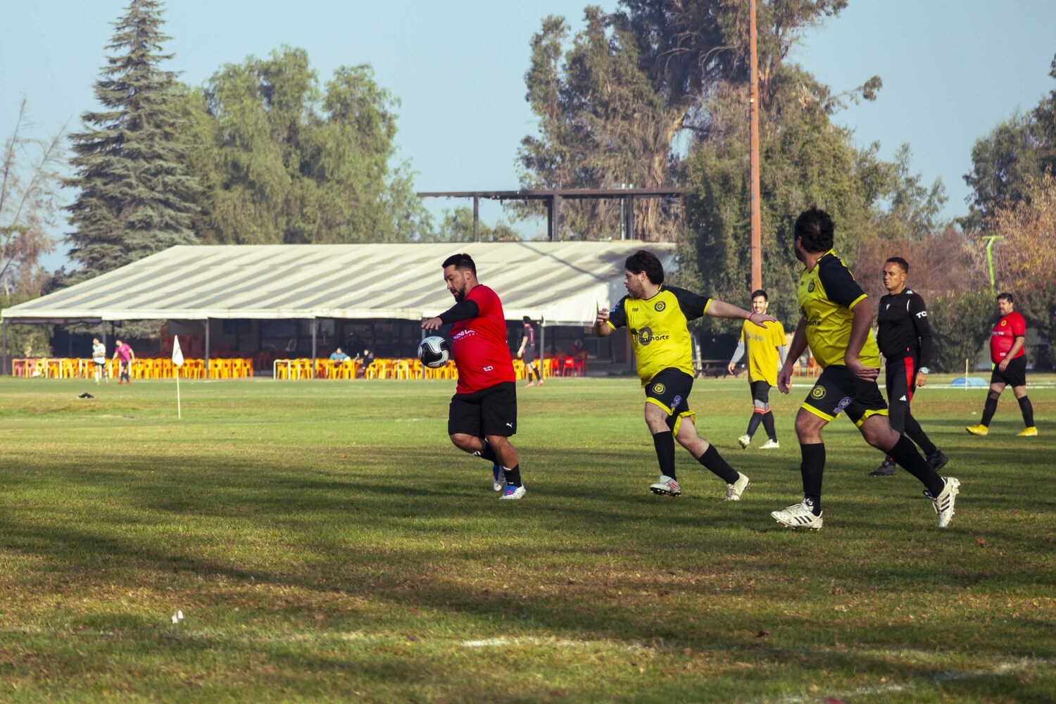 _MG_7709.jpg