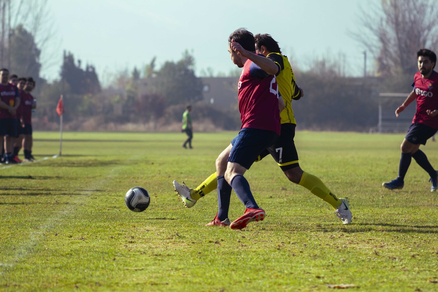 _MG_7772.jpg
