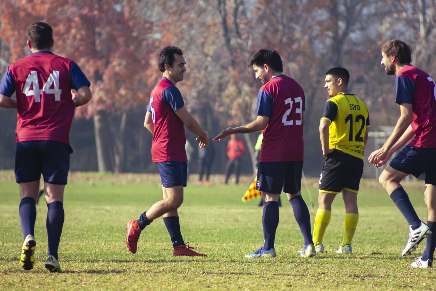 _MG_7784.jpg