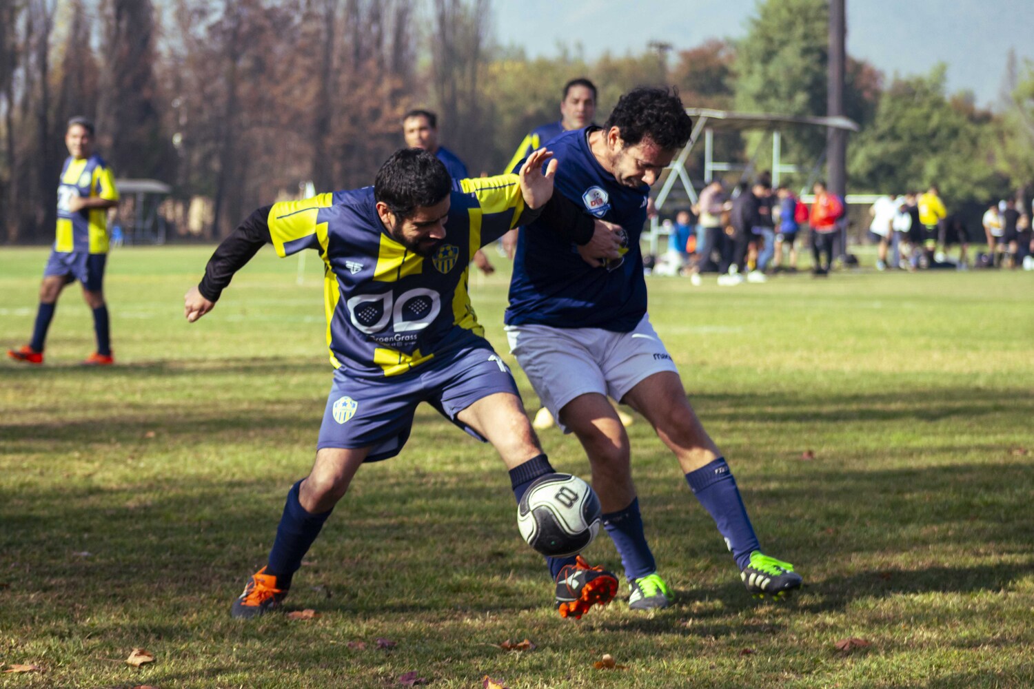 _MG_7838.jpg