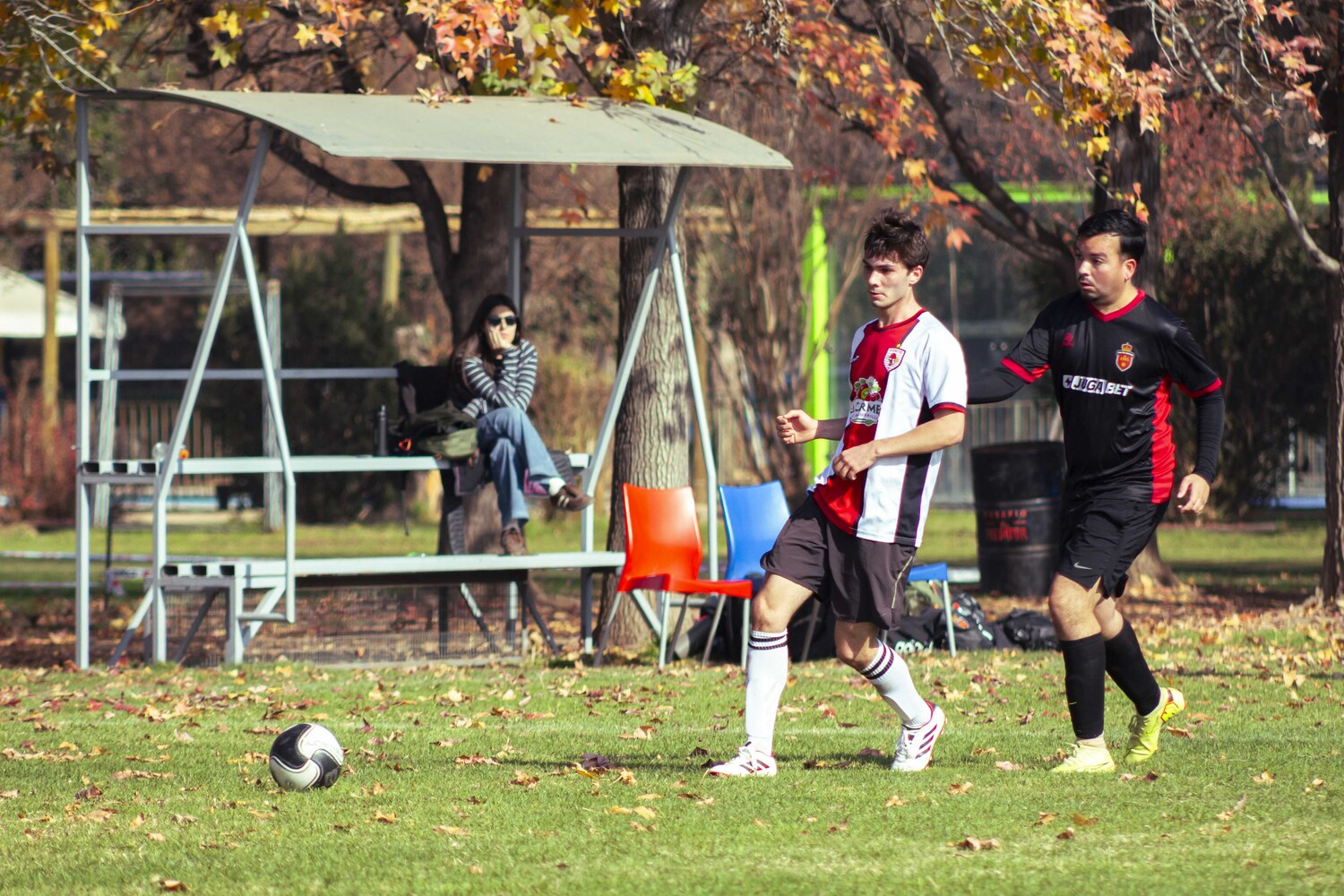 _MG_7888.jpg