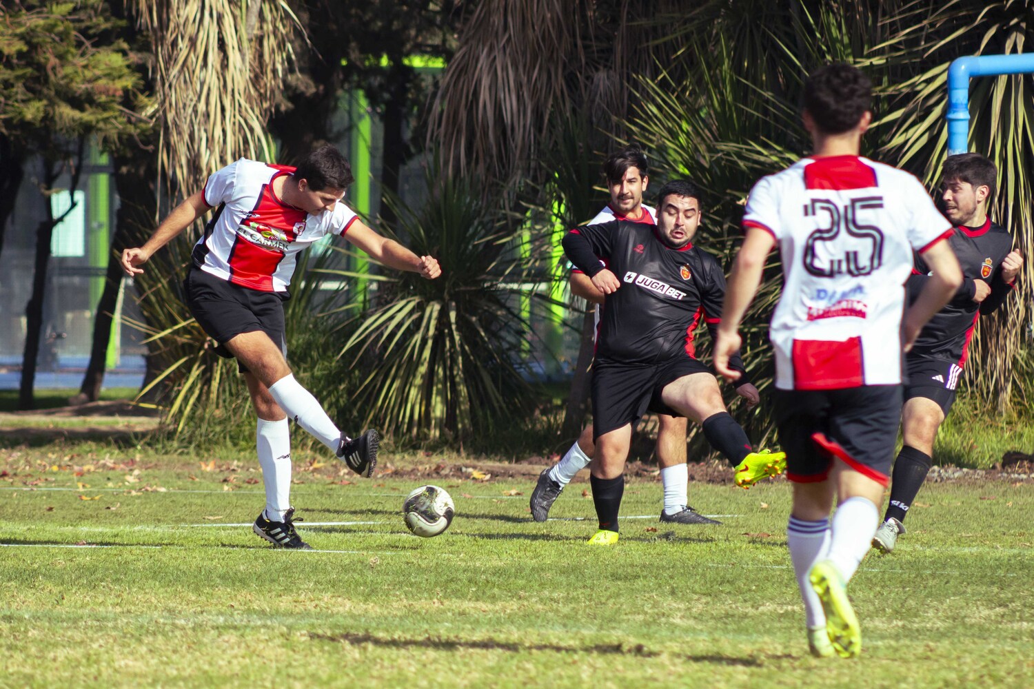 _MG_7898.jpg