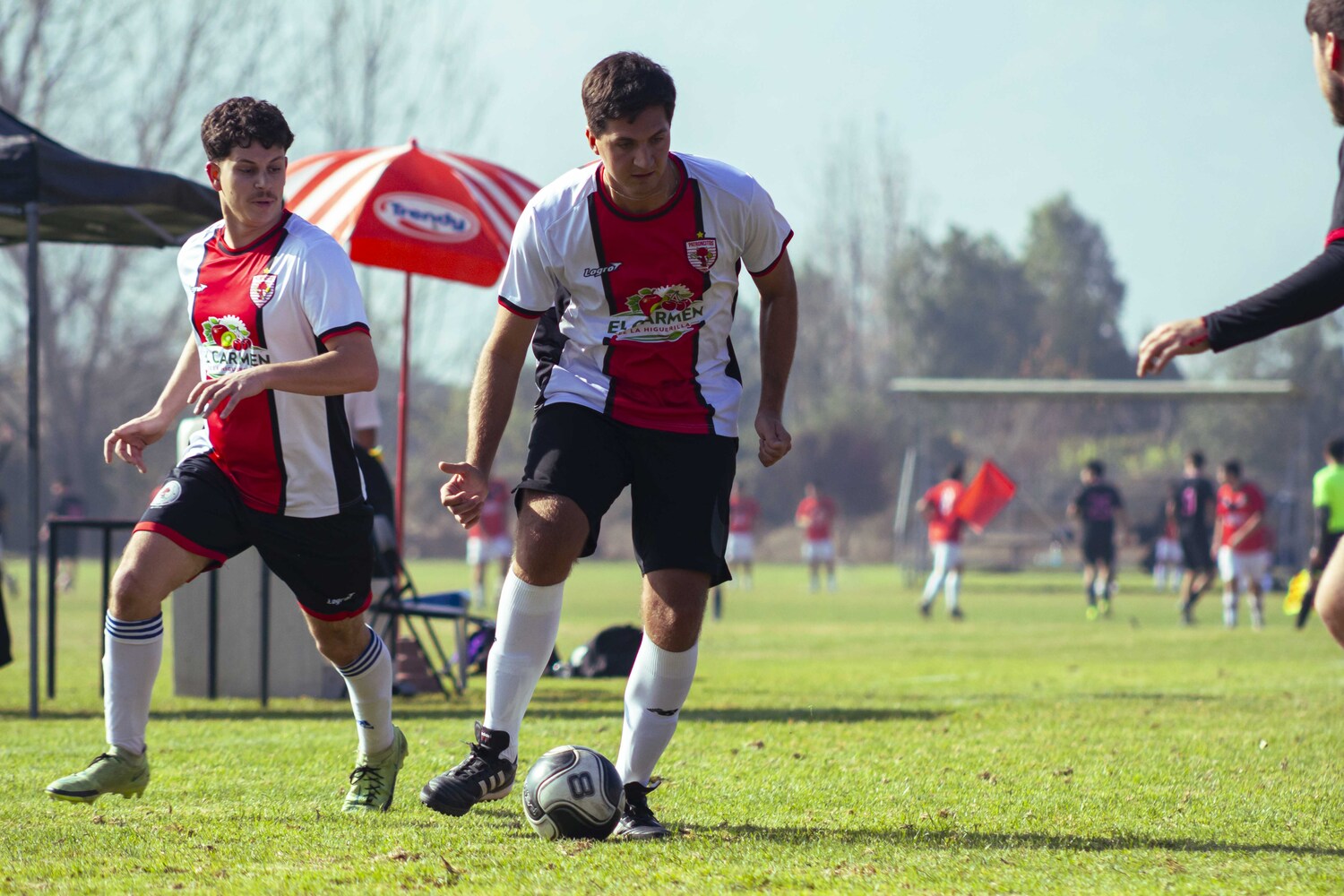_MG_7905.jpg