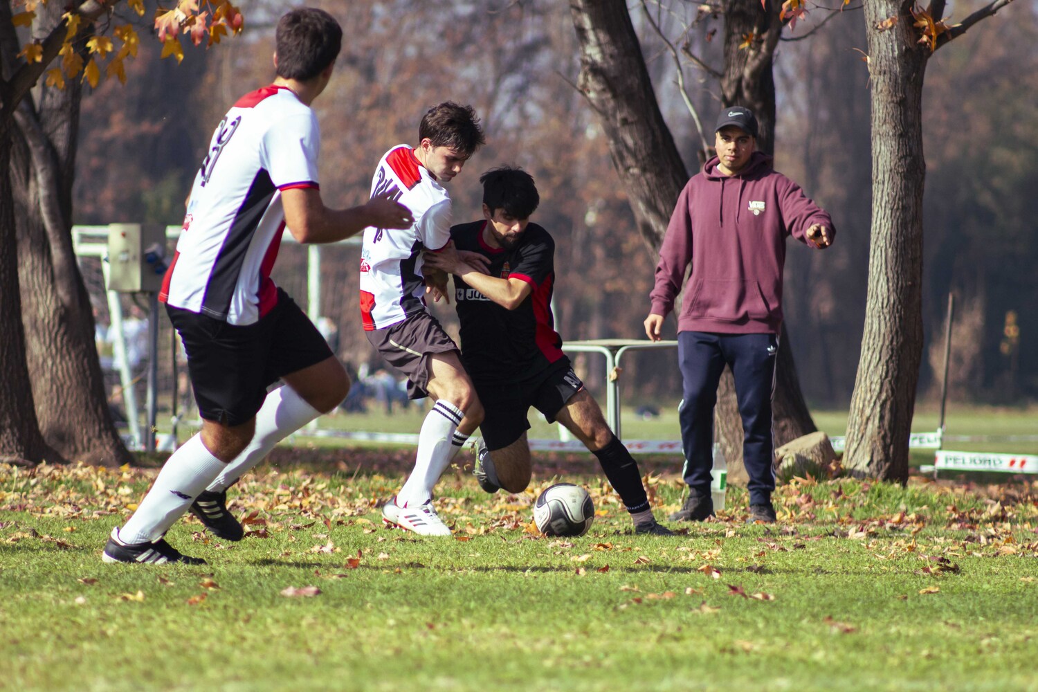 _MG_7907.jpg