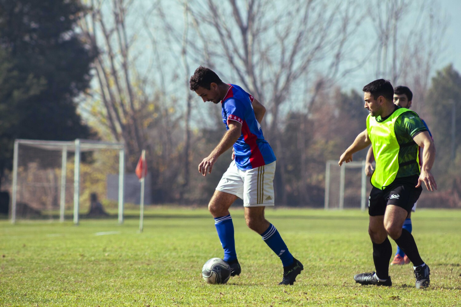 _MG_7923.jpg