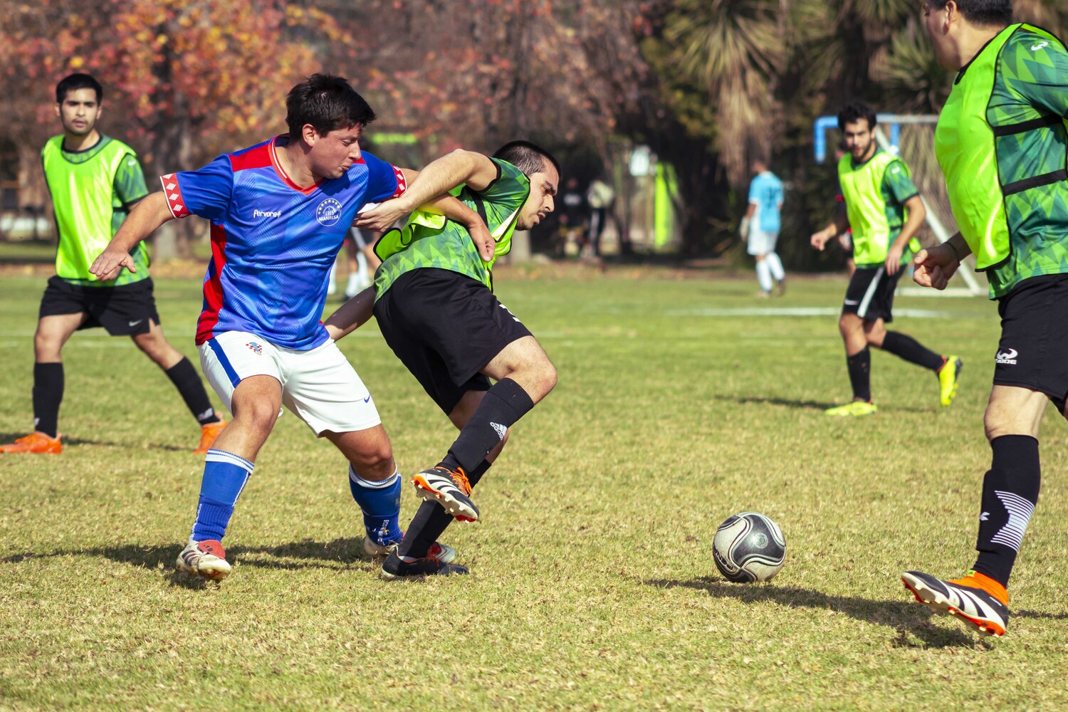 _MG_7940.jpg