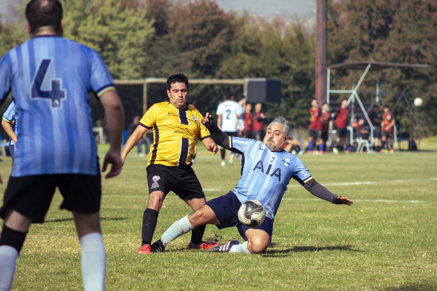 _MG_7960.jpg