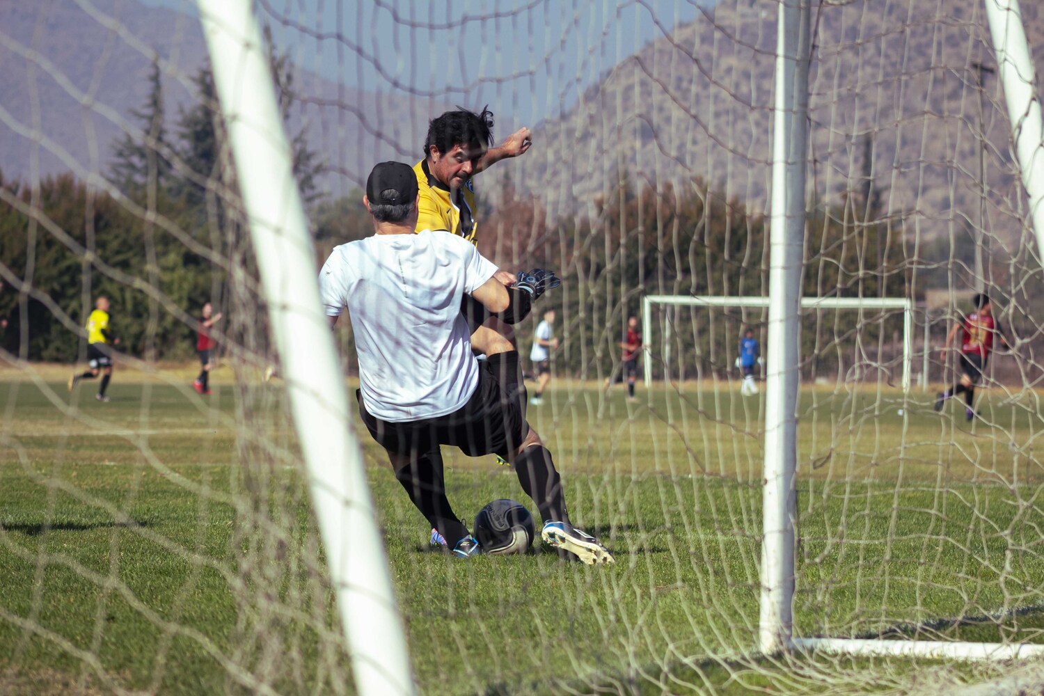 _MG_7977.jpg