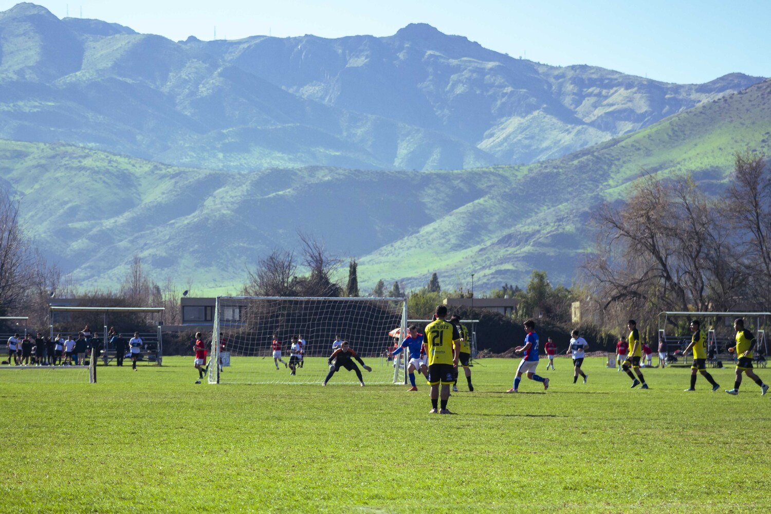 _MG_0016.jpg