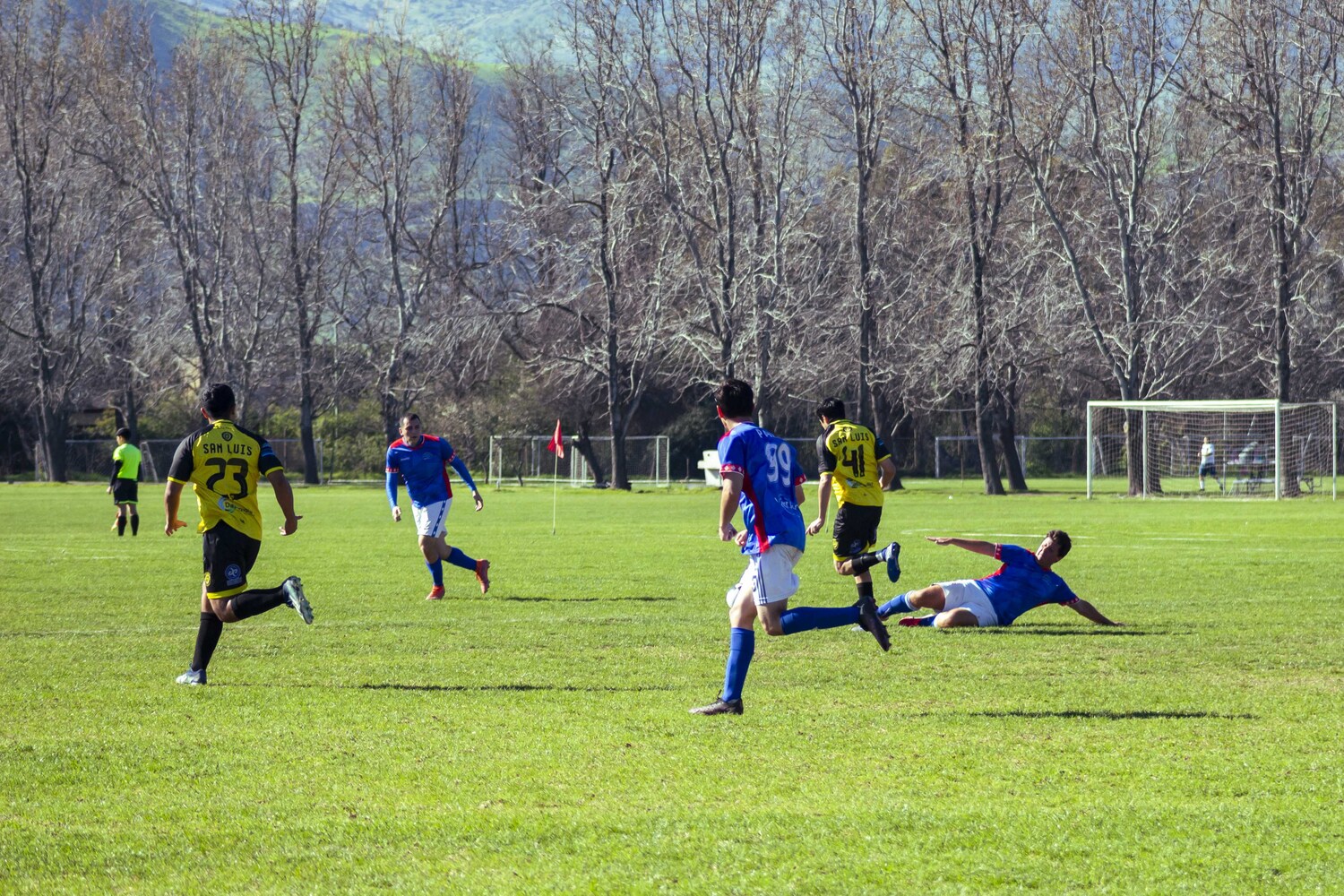 _MG_0021.jpg