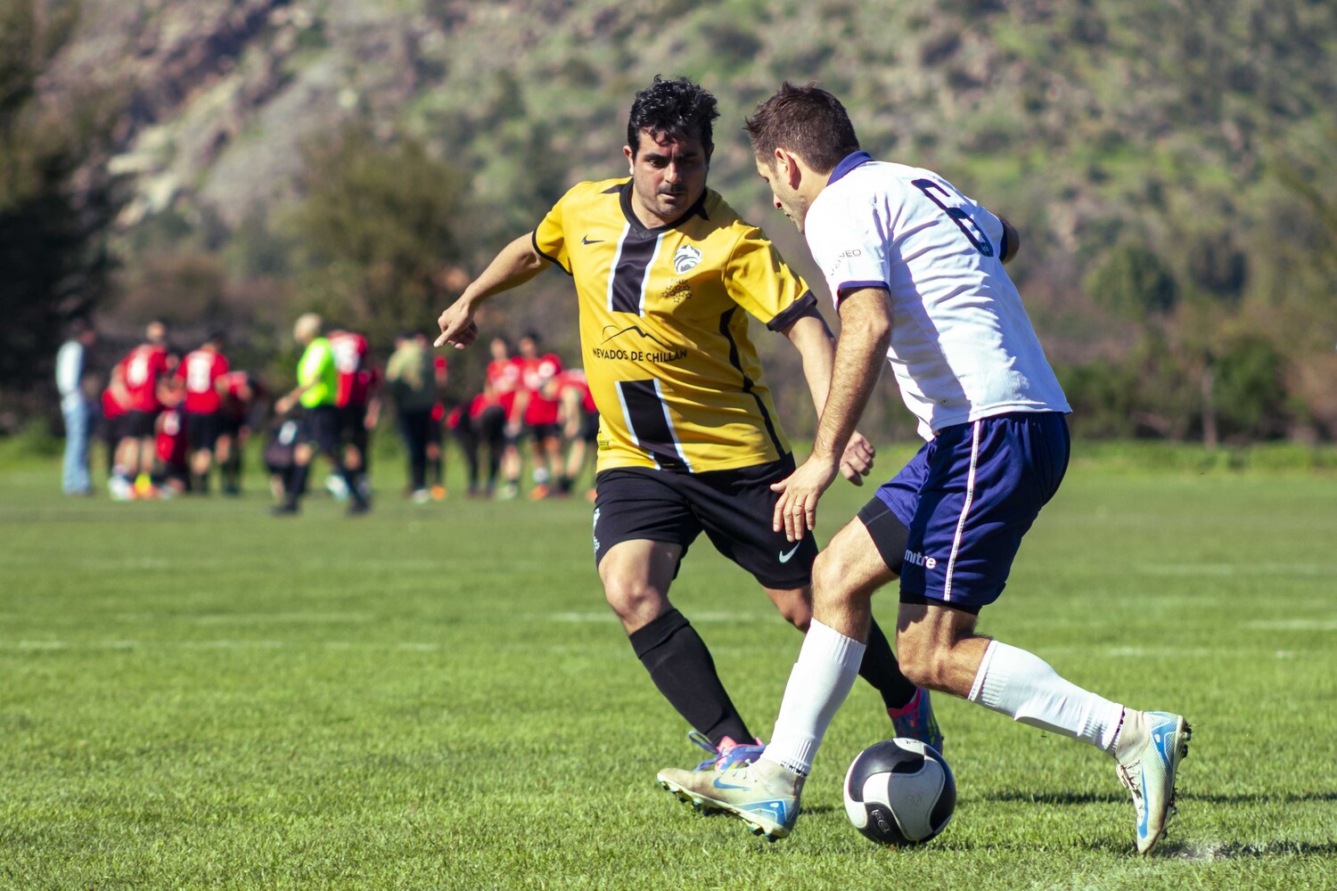 _MG_0054.jpg