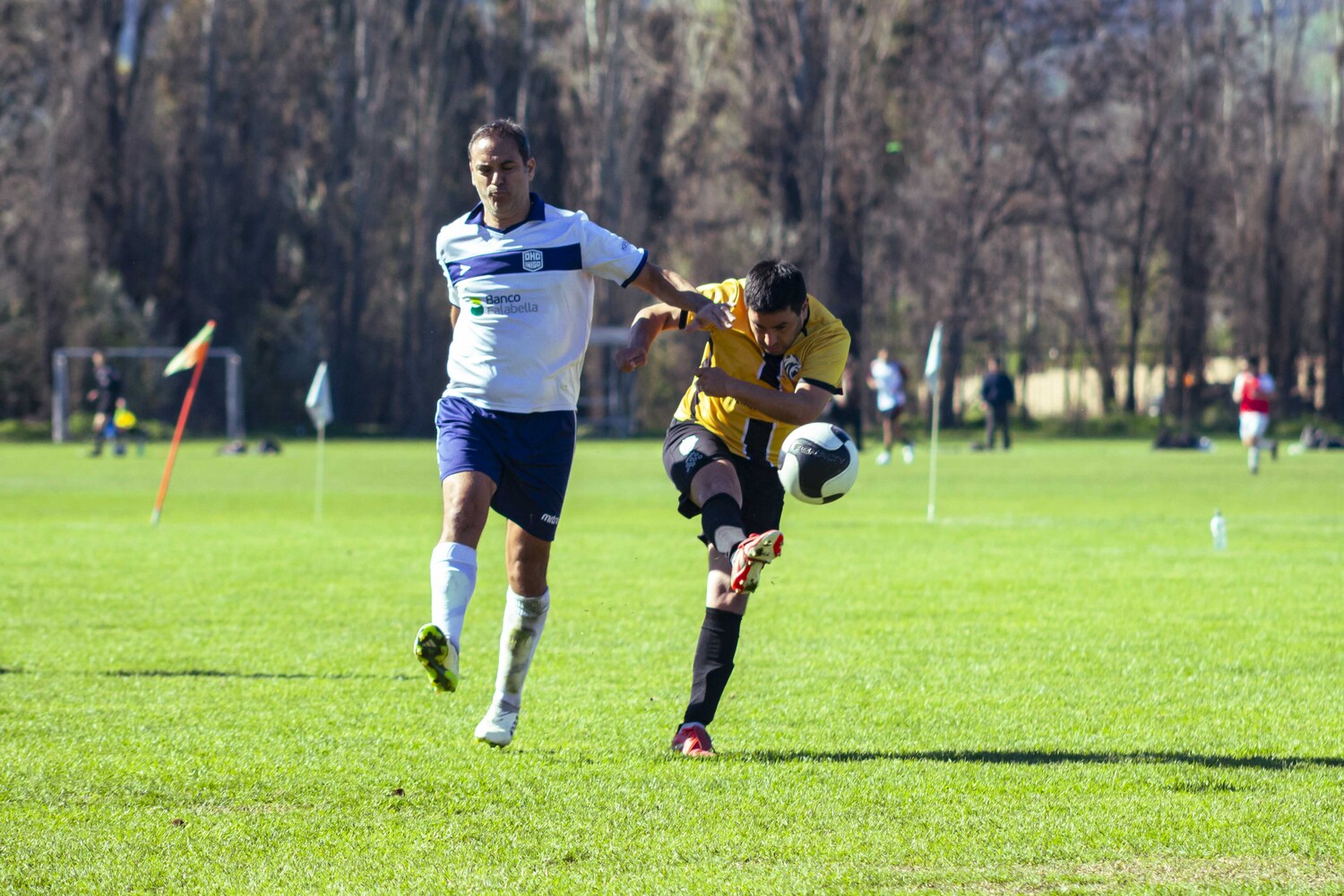 _MG_0061.jpg