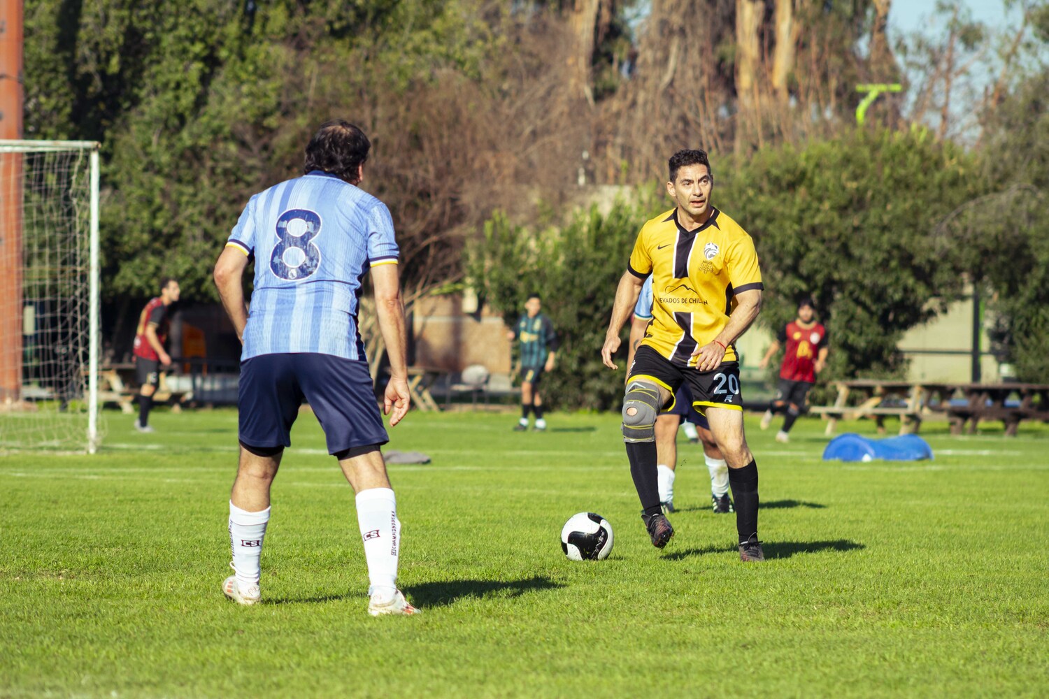 _MG_0227.jpg