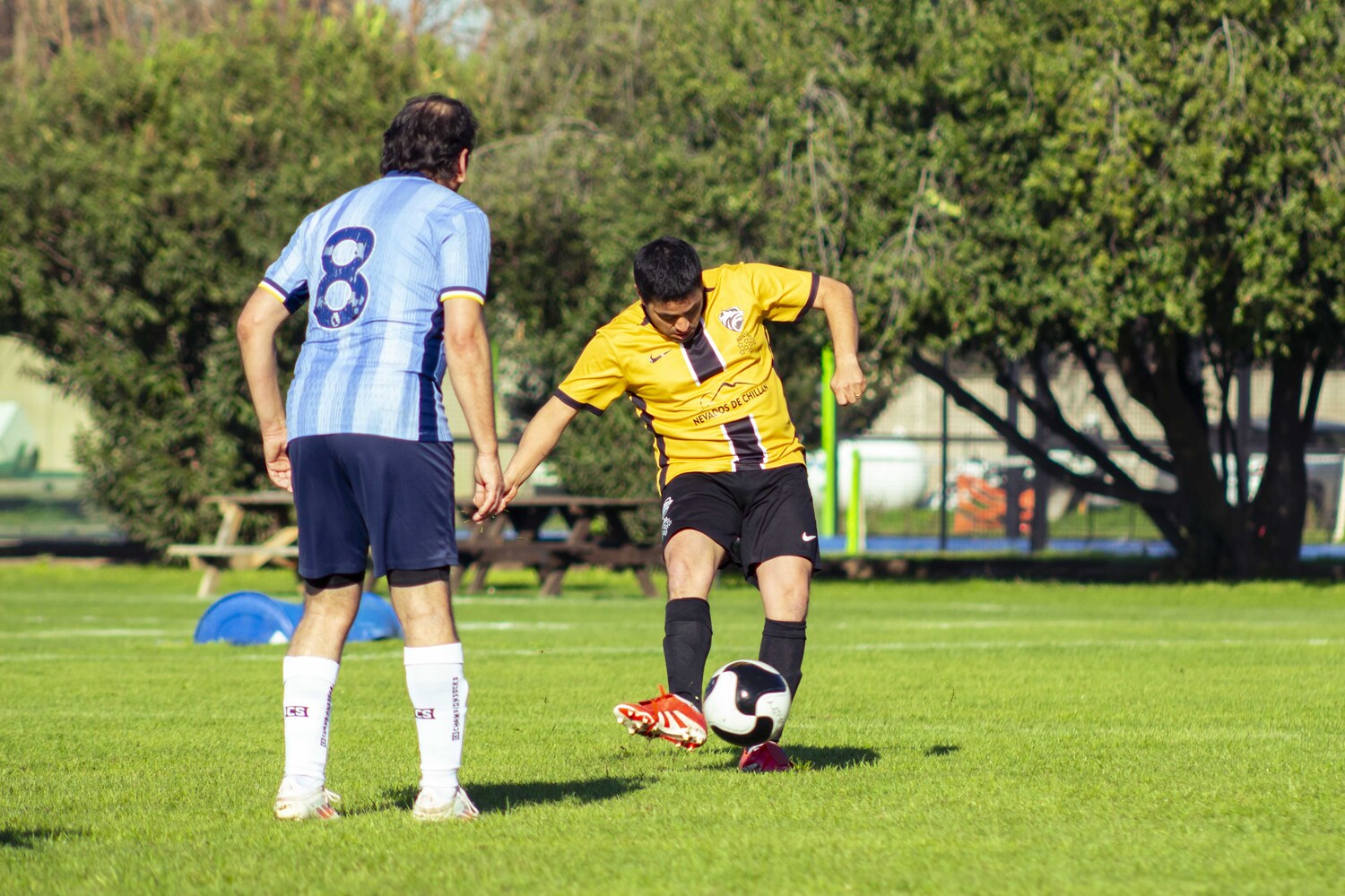 _MG_0234.jpg
