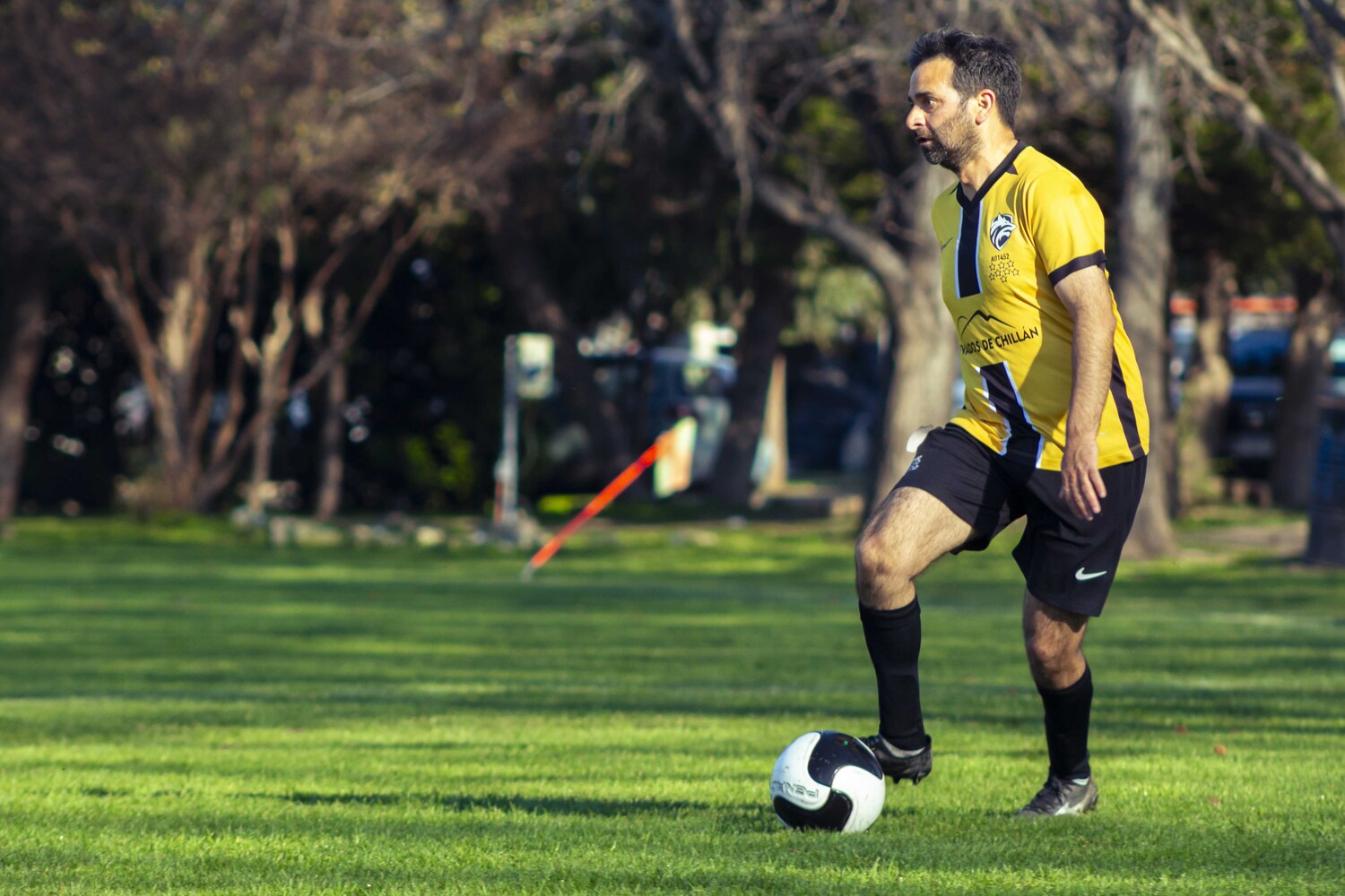 _MG_0235.jpg