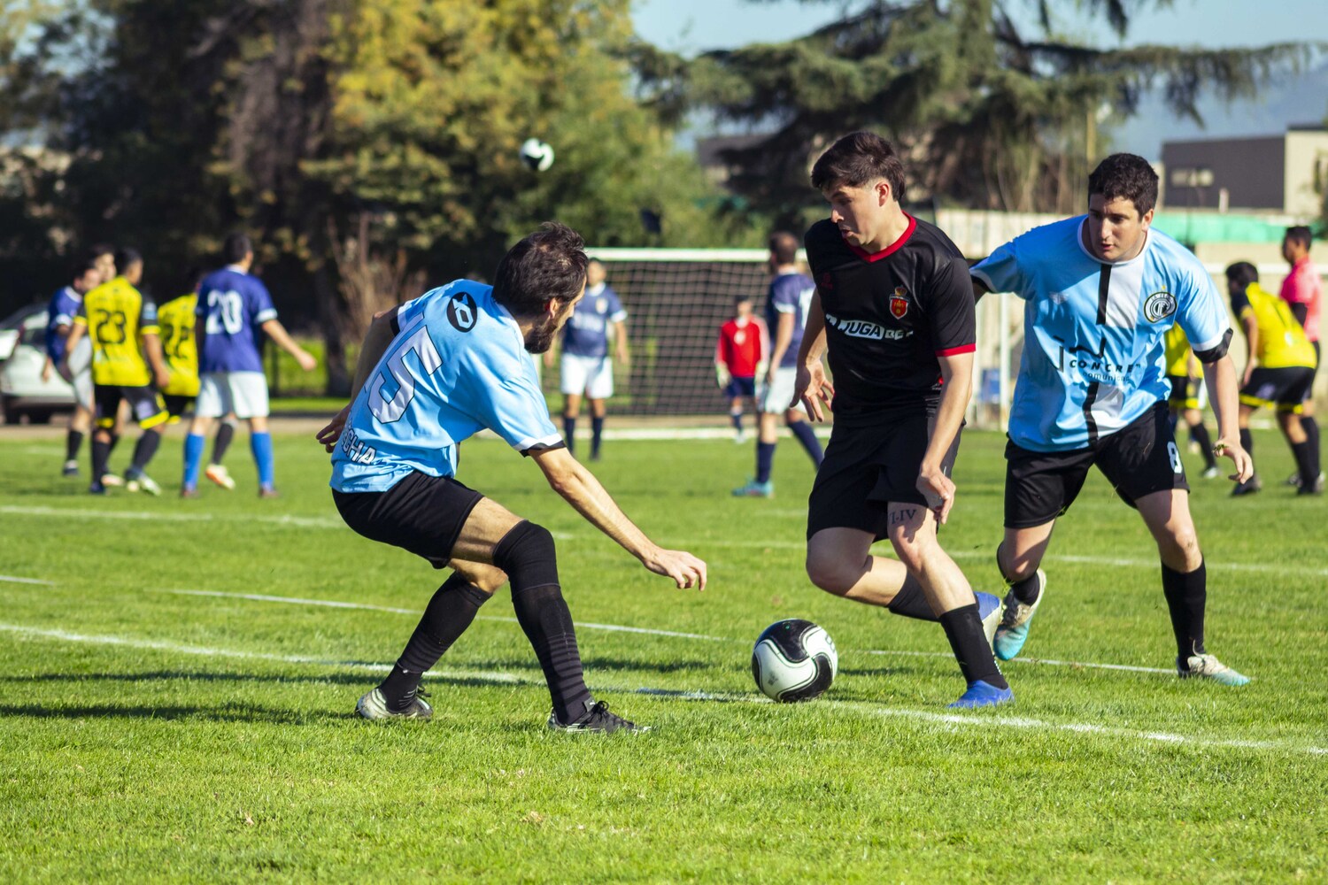 _MG_0239.jpg