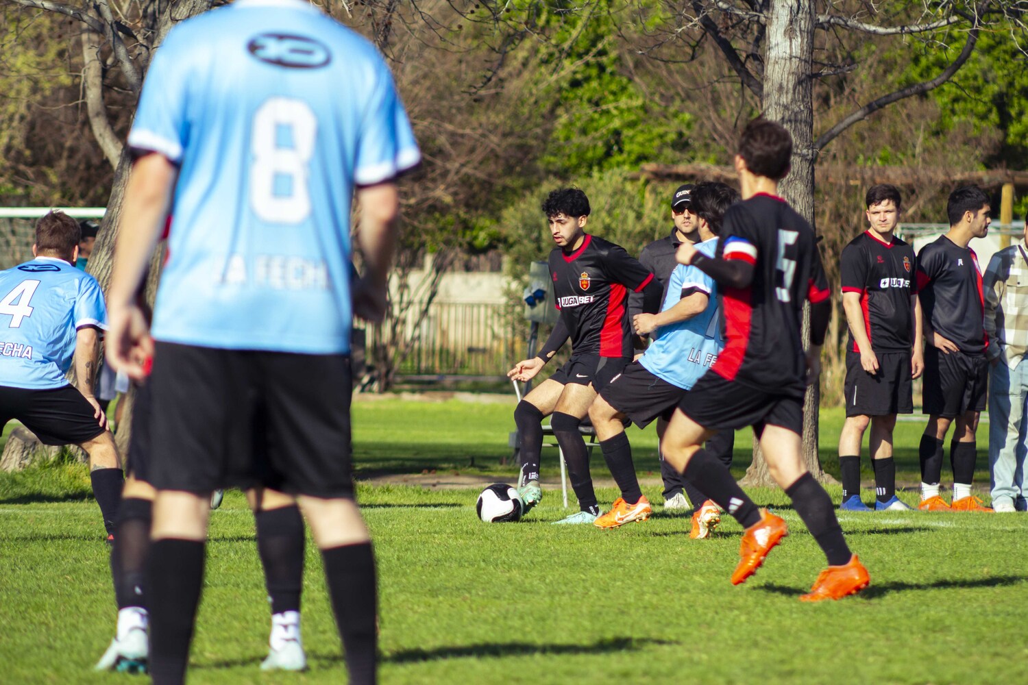 _MG_0245.jpg