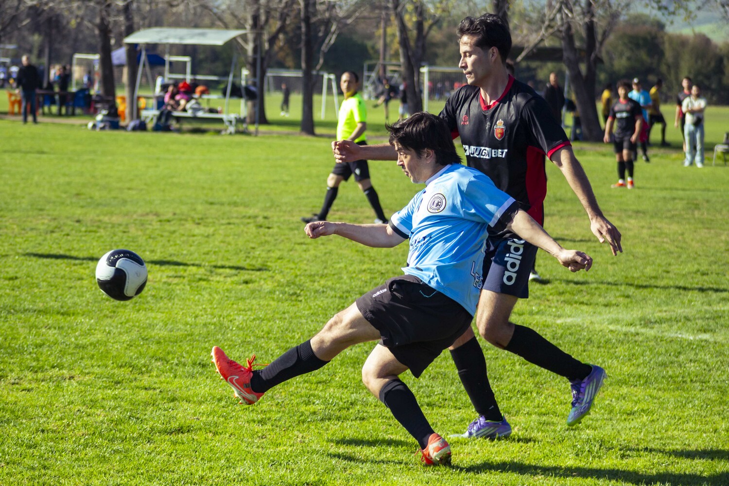 _MG_0285.jpg