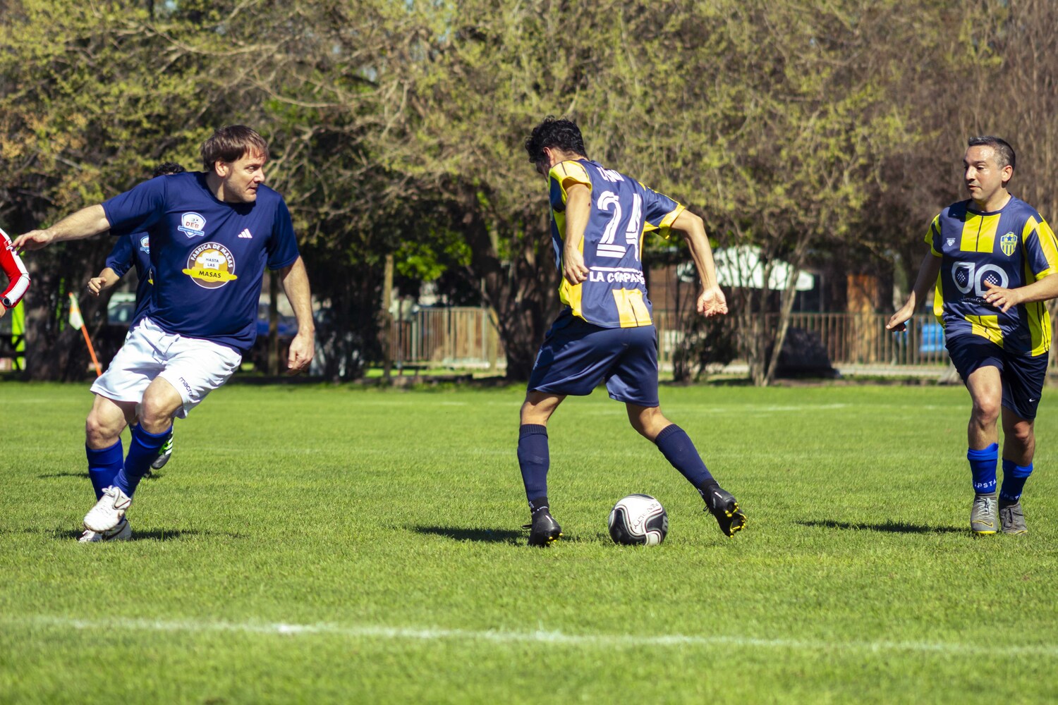 _MG_0382.jpg