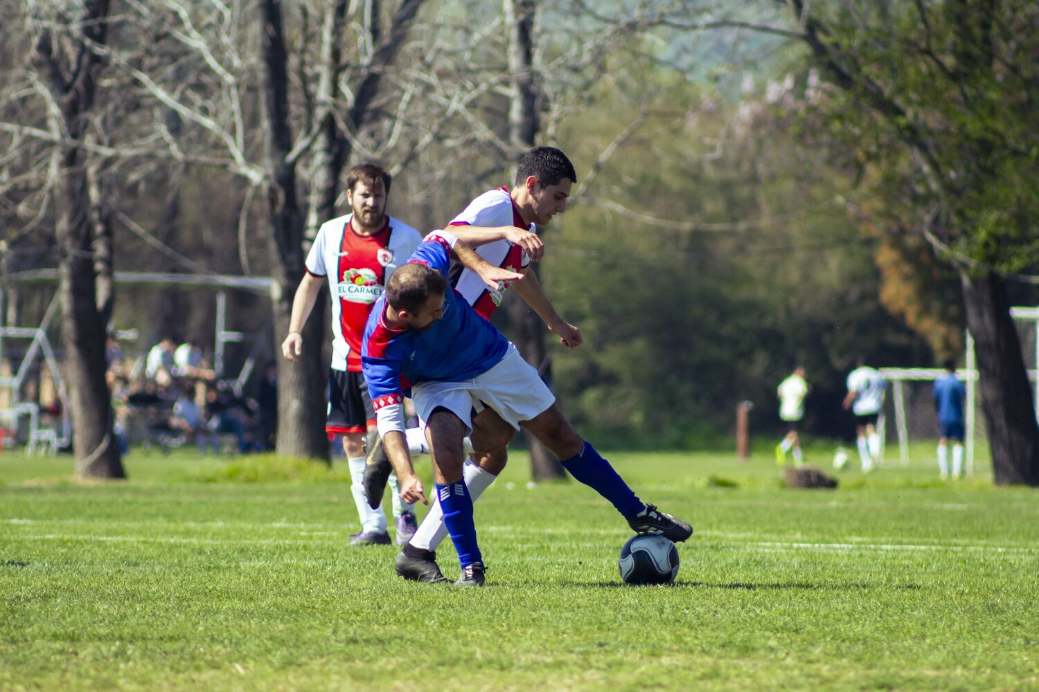 _MG_0443.jpg