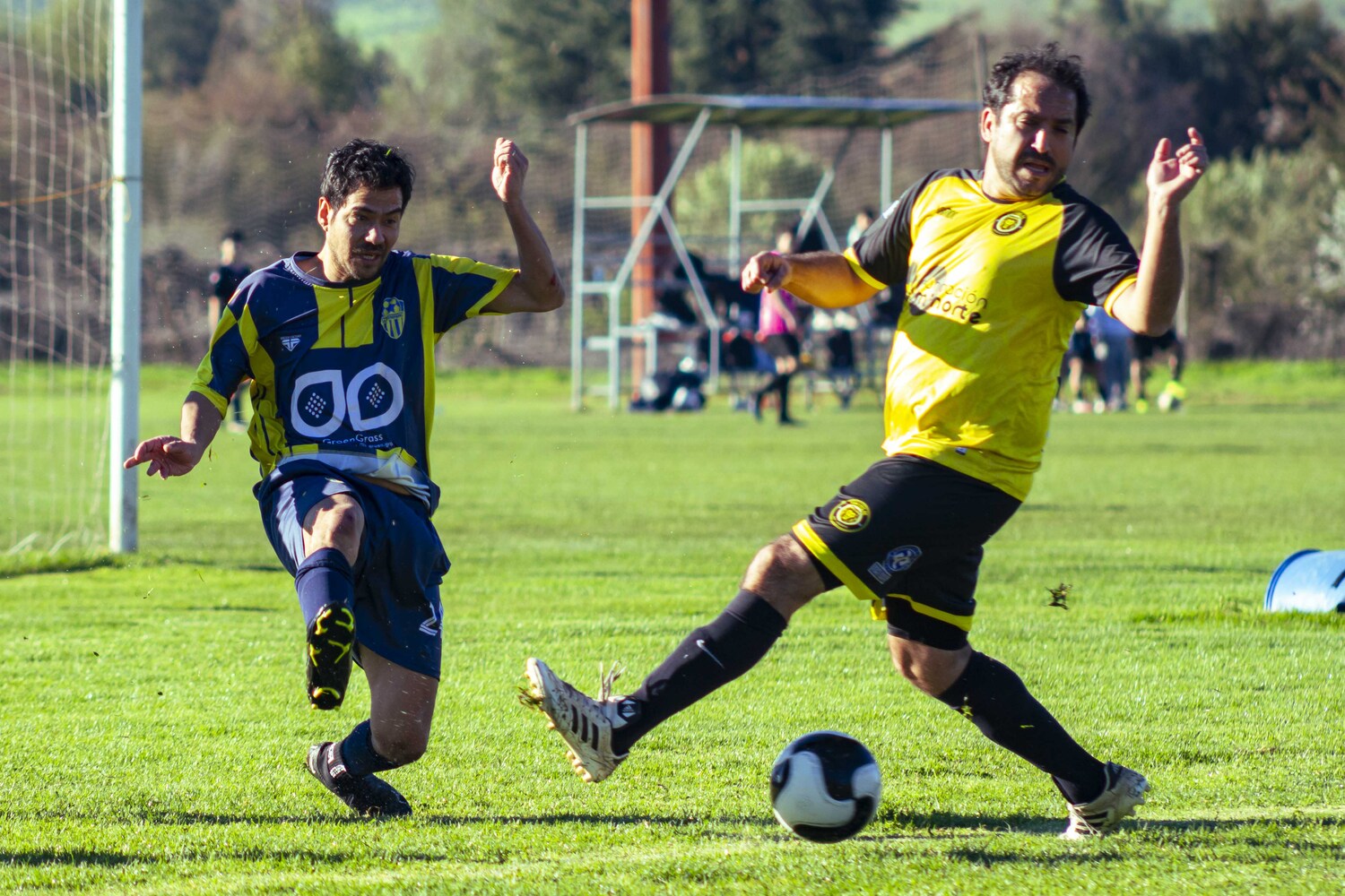_MG_9931.jpg